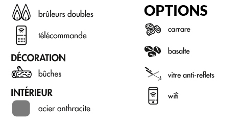 Décoration TL 100 DF Gaz