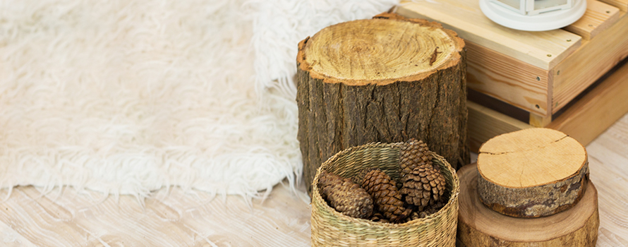 Quel type de bois utiliser pour sa cheminée ?